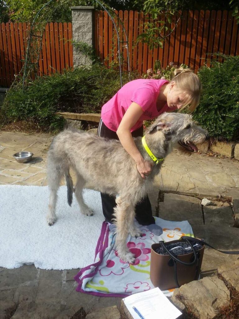 Dornova metoda pro zvířata Zlín / Uherský Brod